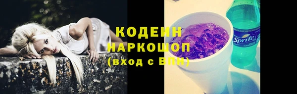 spice Богородицк