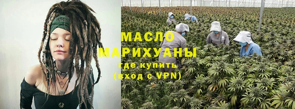 spice Богородицк