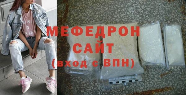 spice Богородицк