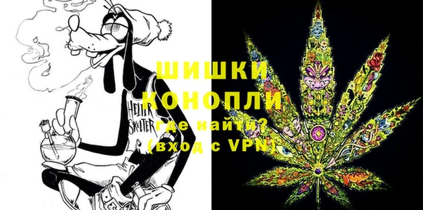 дмт Дмитриев