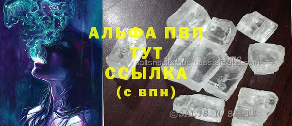 сатива Весьегонск