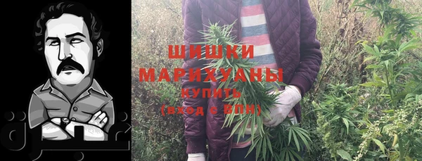 spice Богородицк