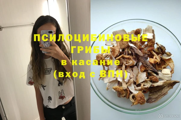 мескалин Богданович