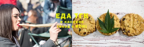 МДПВ Бородино