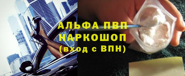 МДПВ Бородино